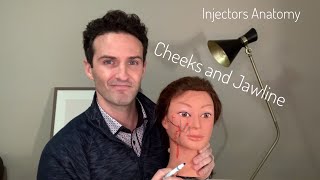 Injectors Anatomy Safer Techniques for Cheeks and Jawline [upl. by Oicneconi]