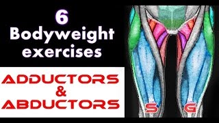 6 Bodyweight Exercises for Adductors amp Abductors [upl. by Eded]