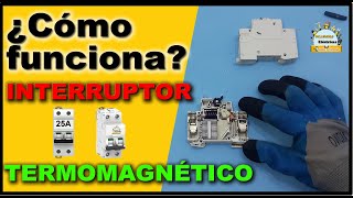 ¿Cómo funciona un interruptor TERMOMAGNETICO [upl. by Eserehc566]