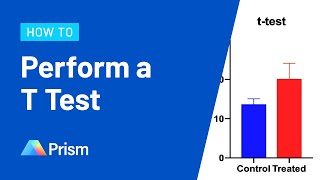 How to Perform a T Test in Prism [upl. by Thorman]