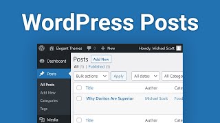 WordPress Posts How to Create and Manage Them [upl. by Liatrice]