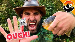 EATEN ALIVE  Human Hands vs Piranha [upl. by Lurline]