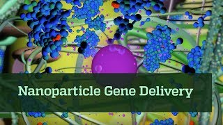 Nanoparticle Gene Delivery [upl. by Mackintosh]