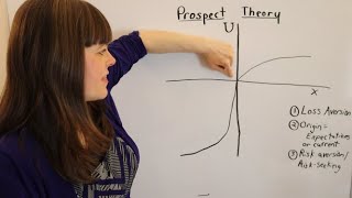 Prospect Theory An Overview [upl. by Jotham]