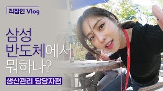 직장인 Vlog 삼성반도체에서 뭐하나 생산관리 담당자편 [upl. by Iak901]