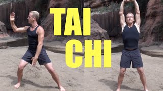 10 Minute Tai Chi Lesson  Amazing [upl. by Ottillia]