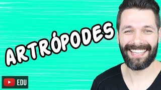 ARTRÓPODES  INTRODUÇÃO  ZOOLOGIA  Biologia com Samuel Cunha [upl. by Isma735]