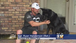 Military Dog Reunited With Soldier 5 Years Later [upl. by Srini]