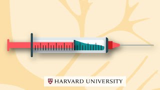 How mRNA vaccines work [upl. by Kokaras]