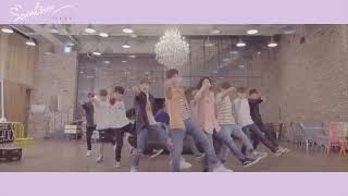 Dance Practice SEVENTEEN세븐틴  예쁘다 Pretty U Dancecal ‘LOVE ver’ [upl. by Haven452]