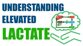 Understanding Elevated Lactate [upl. by Godding]