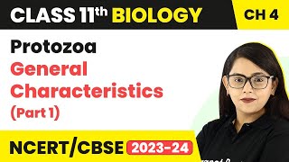 Protozoa General Characteristics Part 1  Animal Kingdom  Class 11 Biology Chapter 4 NCERTCBSE [upl. by Lorrimor]