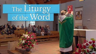 The Liturgy of the Word  Understanding the Mass [upl. by Grady953]