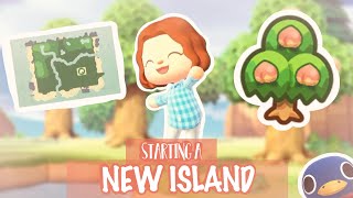 STARTING A NEW ISLAND 🏝 Day 1  Animal Crossing New Horizons [upl. by Earvin]