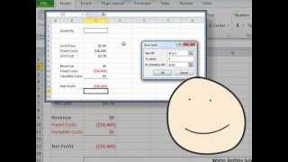 Data Table in Excel [upl. by Rothschild]