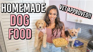 VET APPROVED HOMEMADE  HEALTHY DOG FOOD RECIPE  COOKING FOR YOUR DOG [upl. by Brigida]