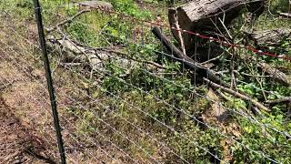 How To Stretch amp Tighten A Sagging Weak Woven Or Welded Wire Fence [upl. by Uund277]