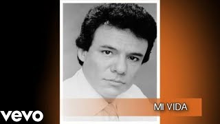 José José  Mi Vida Cover Audio [upl. by Odlonyer168]