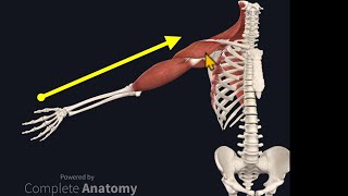 Osteopathy Treatment Techniques Treating the Shoulder [upl. by Keifer]