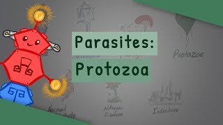 Parasites Protozoa classification structure life cycle [upl. by Atteras336]