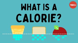 What is a calorie  Emma Bryce [upl. by Hennahane]