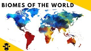 7 Biomes of the World Facts [upl. by Acemahs]