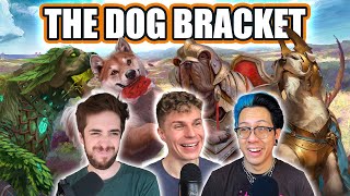 The Dog Bracket  Commander Clash Podcast 139 [upl. by Ylatfen15]