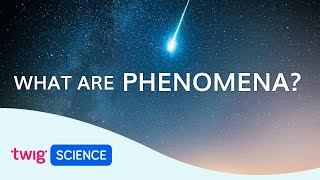 Phenomena Explained What is phenomenabased learning  Twig Science [upl. by Assili700]