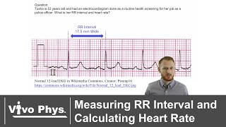 Measuring RR Interval and Calculating Heart Rate [upl. by Anil]