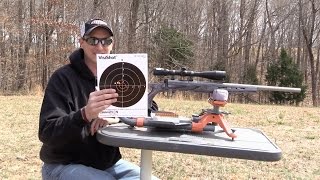 SAVAGE BMAG TARGET 17 WSM REVIEW [upl. by Attinahs658]