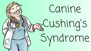 Dr Ferox on Cushings Syndrome [upl. by Nitin]