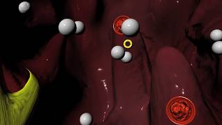 Beta Blockers for Hypertension high blood pressure Arrhythmias irregular heartbeat [upl. by Jerald210]