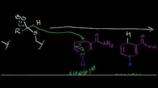 Biochemistry  Aldehyde Dehydrogenase [upl. by Nemzaj]