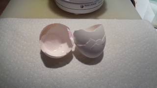 Natural Eggshell Membrane  NEM  preparing eggshells  recipe [upl. by Oiluj]