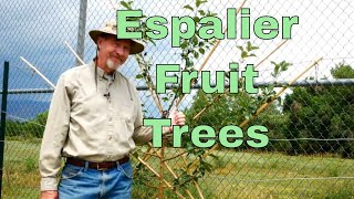 How to Espalier Fruit Trees [upl. by Chasse867]