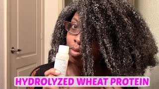 NATURAL HAIR  HYDROLYZED WHEAT PROTEIN [upl. by Ateloj]