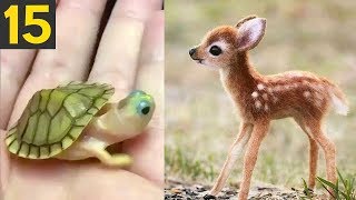 Top 15 Most CUTE Baby Animals [upl. by Berck]