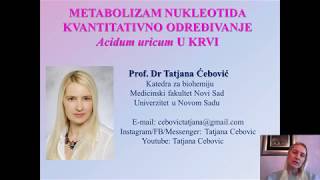 Metabolizam nukleotida  mokracna kiselina u krvi [upl. by Proctor892]