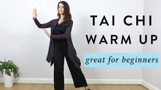 Tai Chi Warm Ups for Beginners  Dr Paul Lam [upl. by Kantor293]