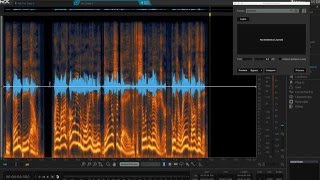 RX Audio Repair Master Class  iZotope RX 5 Audio Editor Tips amp Tricks [upl. by Etnuahs]