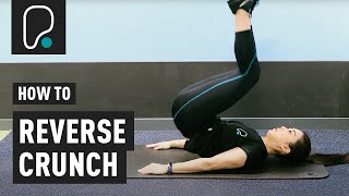 How To Do A Reverse Crunch [upl. by Airebma]