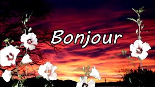 Bonjour très belle journée à toi [upl. by Ayahs]