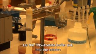 Size Exclusion Chromatography [upl. by Oiramej]