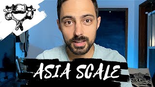 What is the ASIA Scale Review PLUS simple Visual [upl. by Cynthla433]