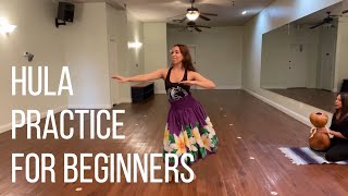 HULA PRACTICE FOR BEGINNERS • Basic steps [upl. by Markson198]