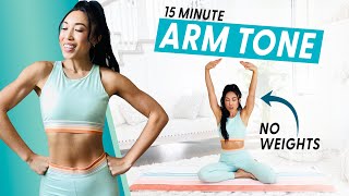 15 Minute Arm Burnout weightless upper body workout [upl. by Aniar]