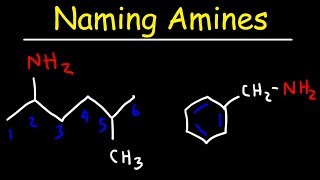 Naming Amines  IUPAC Nomenclature amp Common Names [upl. by Lejna]