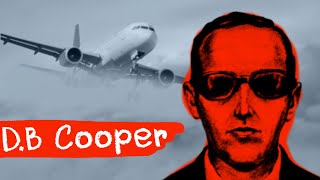 The US Skyjacker Who Disappeared In The Sky [upl. by Ryle399]