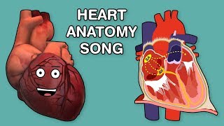 HEART ANATOMY SONG [upl. by Lalat]