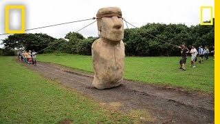 Scientists Make Easter Island Statue Walk  National Geographic [upl. by Elsie]